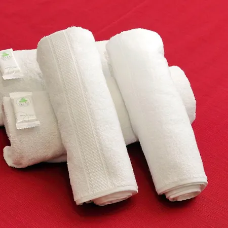 Dandi Domus Konukevi Roma