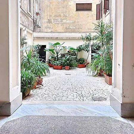 Dandi Domus