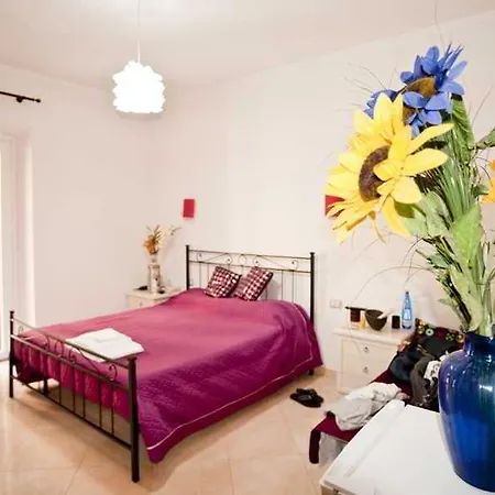 Dandi Domus 3*