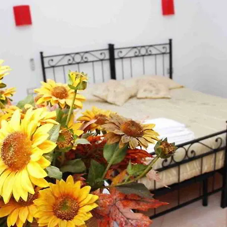 Affittacamere Dandi Domus Roma